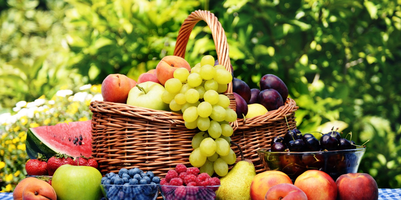 Best Food for Child Brain Development: A Complete Guide for Parents